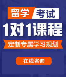 大胸嫩模被操弄嗷嗷叫留学考试一对一精品课